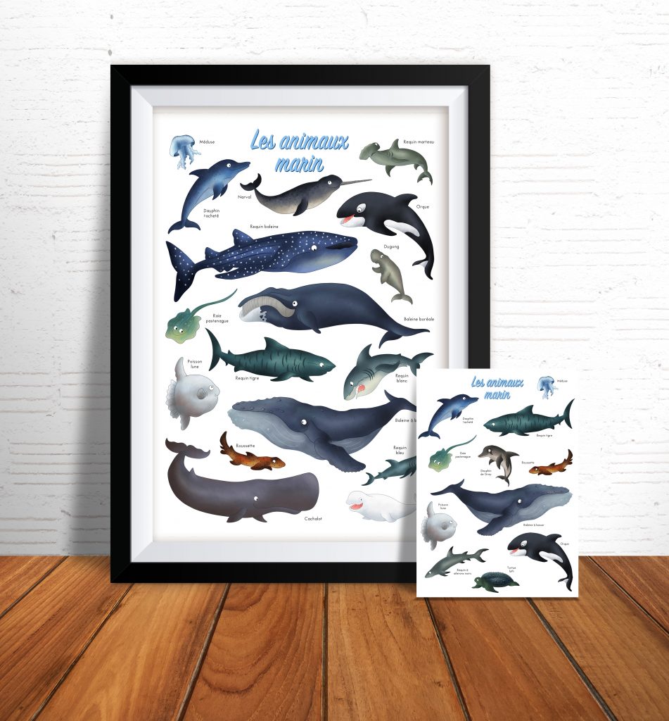 Affiche et carte postale d'imagier des animaux marin et des pôles