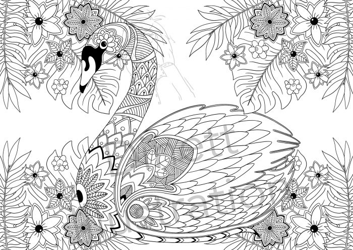 Coloriage anti-stress animaux en mandala pour adulte le cygne